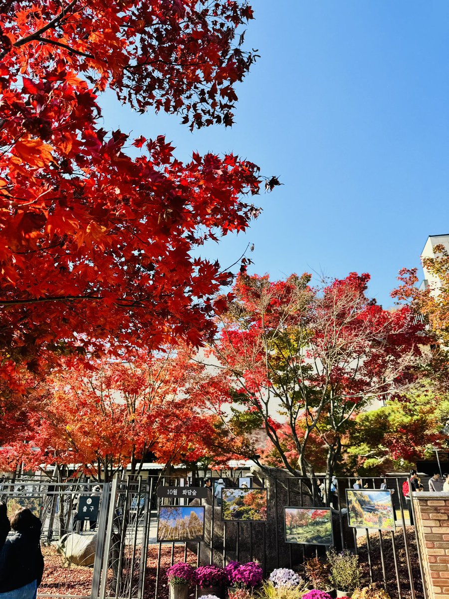 tadapumpum's tweet photo. My fav shades of fall https://t.co/CDkQg5Xr6M