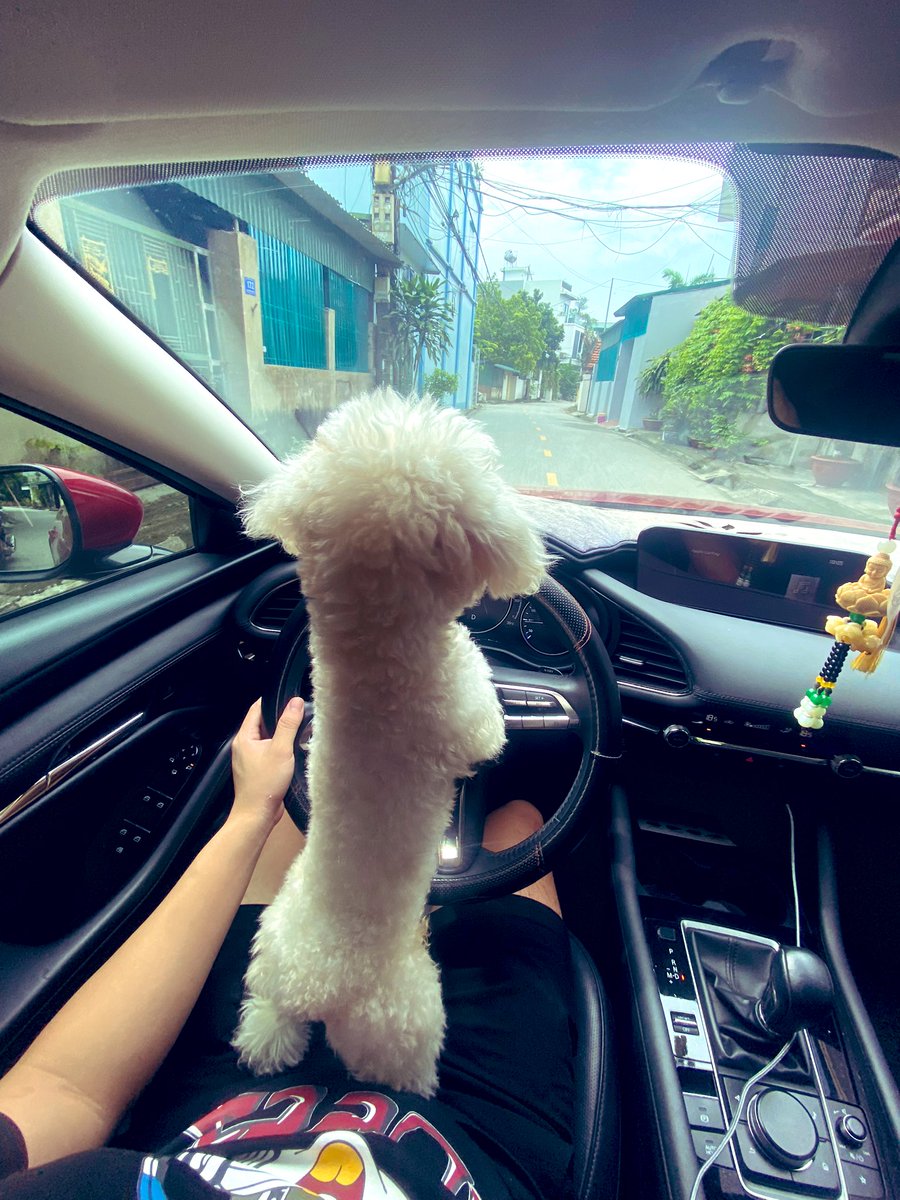 Chào buổi sáng ! Đầu tuần chúc cả nhà tràn đầy năng lượng , vui vẻ bên gia đình và người thân nhé 😍
#cuoituan #Btc #Ethereum