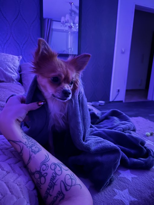 Good N8 Sweeties 😇❤️   ❤️ https://t.co/62wqX1aAG8 ❤️ https://t.co/cFxhmaPEJR