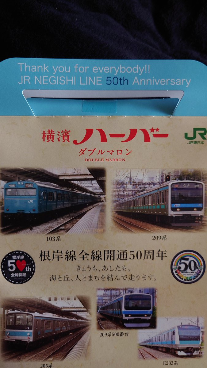 京浜東北線にしか見えない…