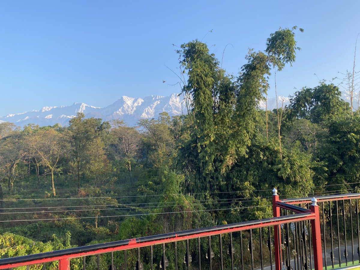 In low AQI Zone. #Palampur