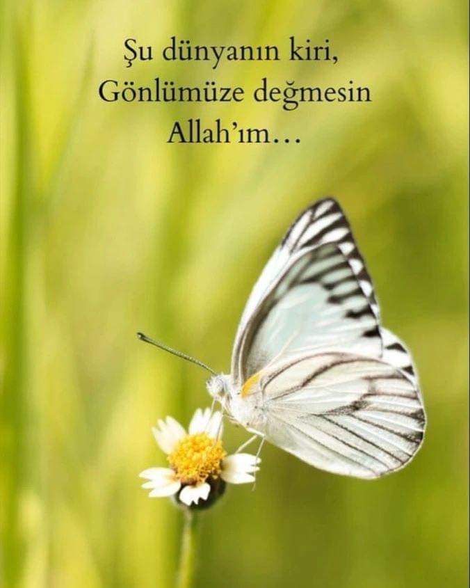 Günaydın..
Mutlu huzurlu hafta sonları dilerim herkese...