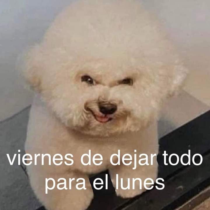 😆