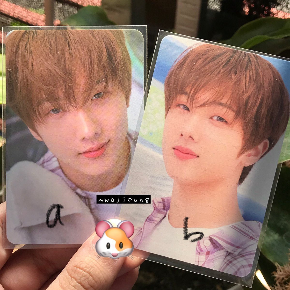 ⋆˚˖°    wts - want to sell    ⋆˚˖°

photocard jisung laundry

a). 45k    ||    b). 30k

📍 jatim

🔗 shope.ee/9euAovG1Vg

nct dream pc poca