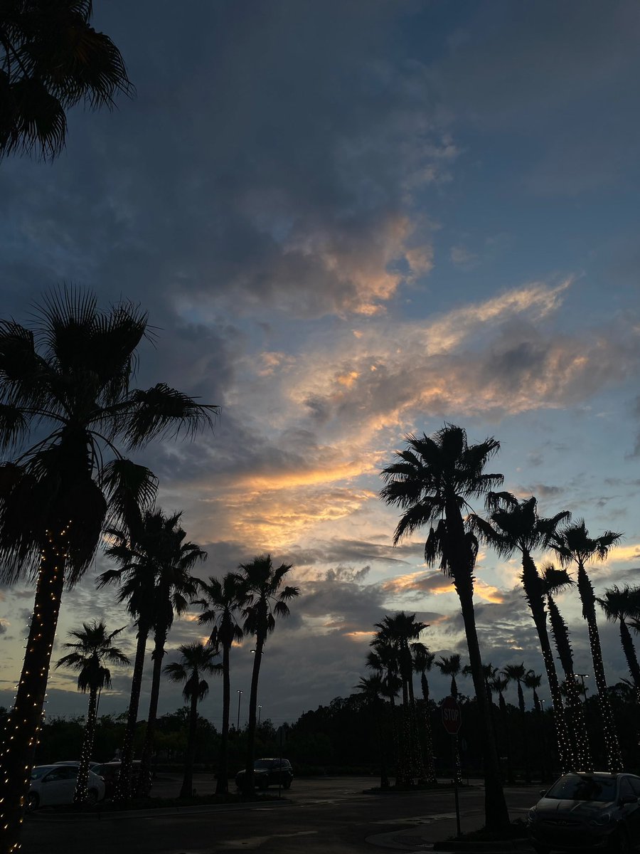 ShopyLuck's tweet image. 