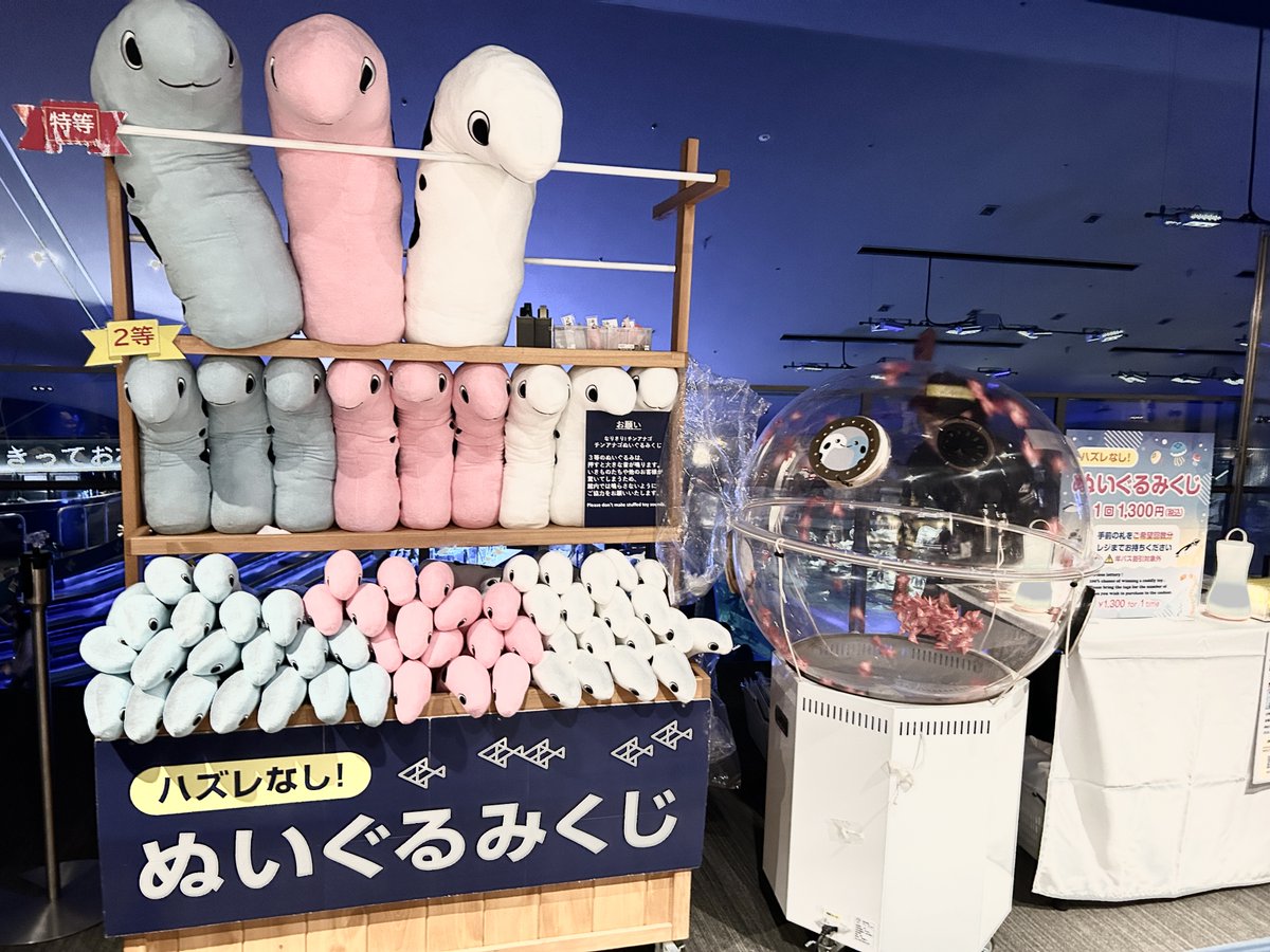 6F特設コーナーには、ハズレ無しの「チンアナゴぬいぐるみ」が登場