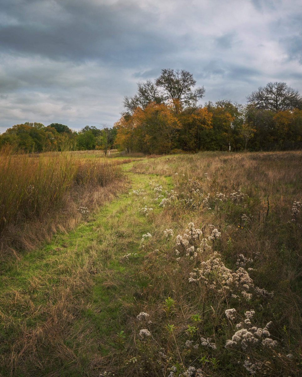 Some signs of fall in the Connemara Meadow Nature Preserve.
📷 Celeste Walz