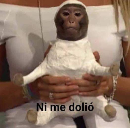 JefeUrbano's tweet photo. Bryan Carabalí llegando mañana a la concentración para jugar el domingo el #ClásicoDelAstillero*

Profe: https://t.co/HVwpy6Onbd