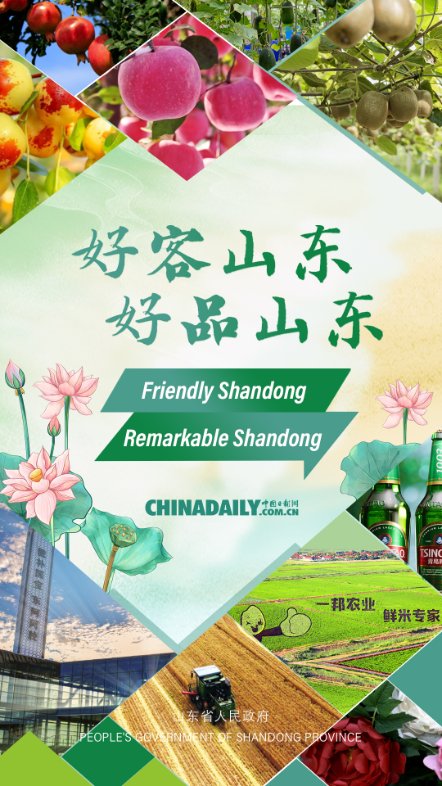 iShandong's tweet photo. #Shandong is home to myriad gastronomic delights, from humble jianbing to delectable #seafood🦪🦀🦐. Indulge in specialties like fragrant Rizhao green #tea 🍵, crispy Yantai #apples 🍎, and sweet Zhanhua winter #jujubes, all showcasing the region's agricultural prowess. https://t.co/ZiH6G1CgM7