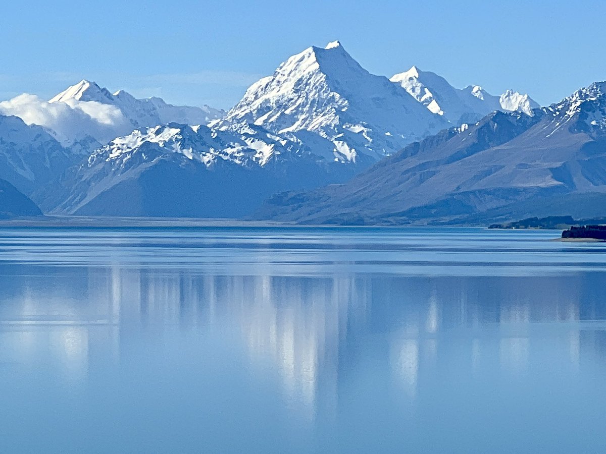 Sue Dawson tweet media