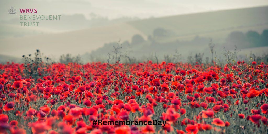 On the 11th Hour of the 11th Day of the 11th Month, We Will Remember Them.
Our thoughts are with all the Armed Forces personnel past, present and future.
#ArmisticeDay #RememberanceDay #WeWillRememberThem #LestWeForget