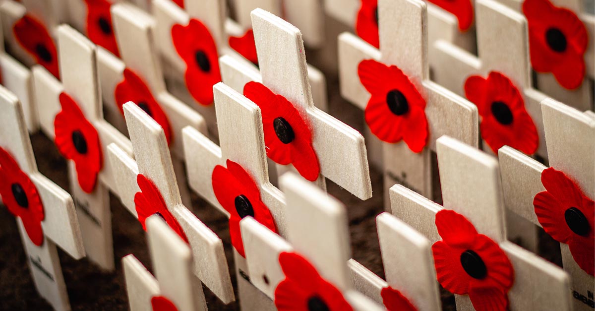 overviewltd's tweet image. On #RemembranceDay, we honour those who served and sacrificed for our nation, shaping our history and securing freedom. 

We stand with gratitude for active service people and veterans, never forgetting their commitment to peace and liberty.
#LestWeForget