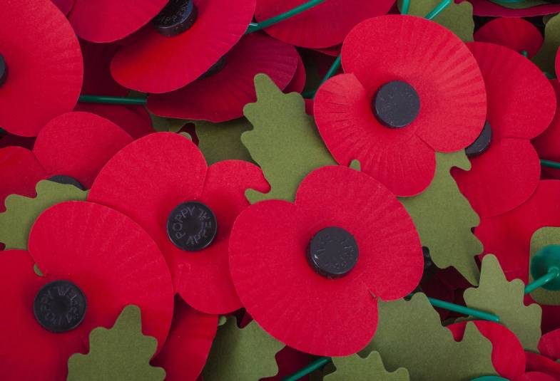 DioceseNorwich's tweet photo. Remember with a poppy prayer 🙏 #Remembrance

Look at your poppy &amp; hold it gently. Give thanks for those who've died, ask for comfort for families &amp; friends who grieve, pray for safety &amp; ask for guidance to work toward global peace. 

Amen https://t.co/tM9qfTmtKt