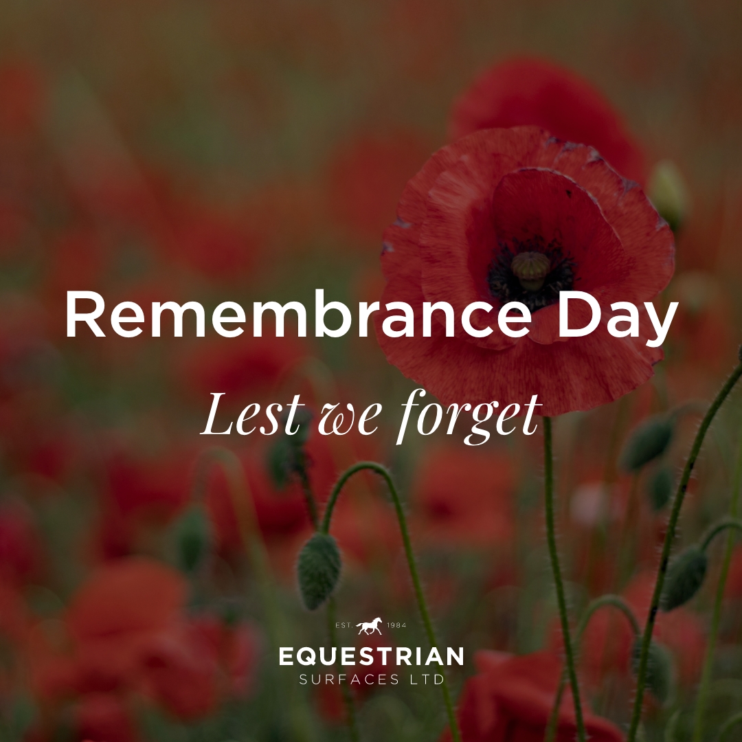 Remembrance Day. ❤️

Today, we remember, reflect and honour all of our fallen soldiers, who devoted and fought for our country.

Our team at Equestrian Surfaces will take part in a two-minute silence at 11am, to remember those who selflessly gave their lives for our nation.