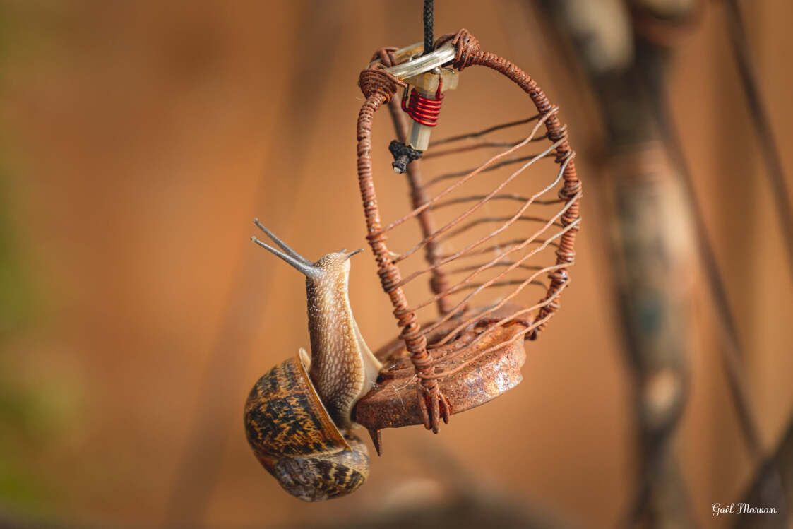citedessciences's tweet image. #TêteàTech le week-end des 18 et 19 novembre 

La "Tech" occupe chaque jour un peu plus de place dans la vie quotidienne. Testez des objets innovants #lowtech... et rencontrez leurs concepteurs !

cite-sciences.fr/tete-a-tech
