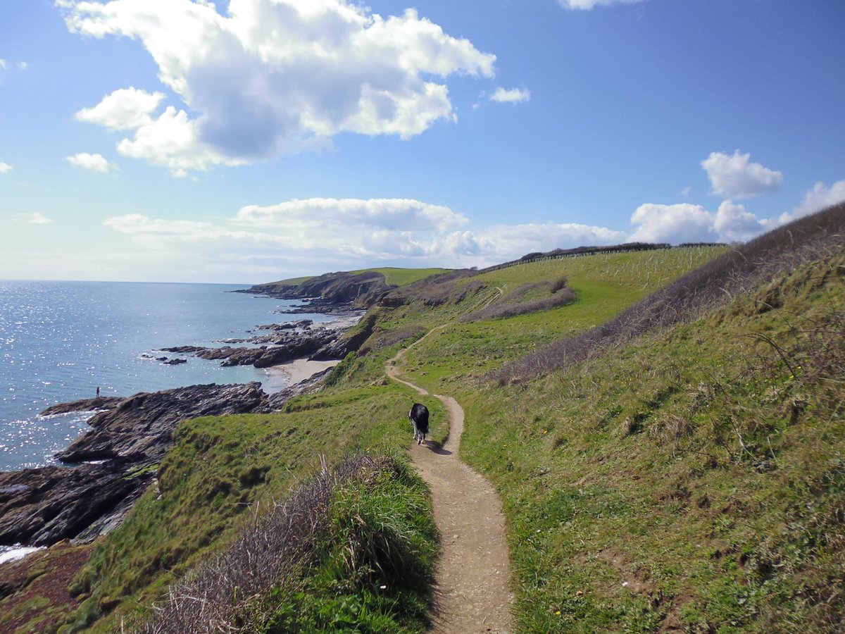@DailyPicTheme2 Out for a #wander on the @swcoastpath near Portscatho, Cornwall #DailyPictureTheme