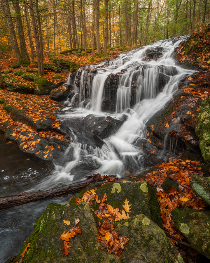 🌎 Autumn Runoff 📸 Michael Blanchette #travel #nature #photography #naturephotography
