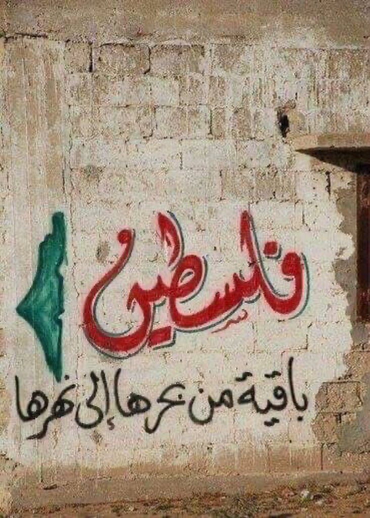 Adamelzinee tweet media