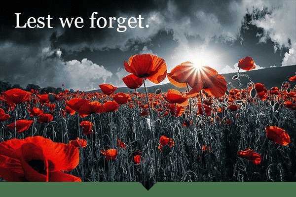 ‘On the 11th hour, of the 11th day, of the 11th month, 
Buxted Bonfire Society members will be observing a two minute silence to honour those who lost their lives at war.

"At the going down of the sun and in the morning. We will remember them."