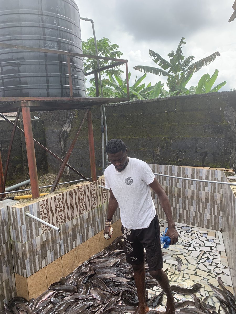 Reubenchristi17's tweet image. Hi, my name is Reuben and I’m a contestant in the Accesspreneur NYSC Business Plan Programme @ Rivers Camp sponsored by Access Bank Plc.The title of my business is Reuby Catfish. Please like and retweet this post to increase my winning chances.#myaccessbank #access_more #access