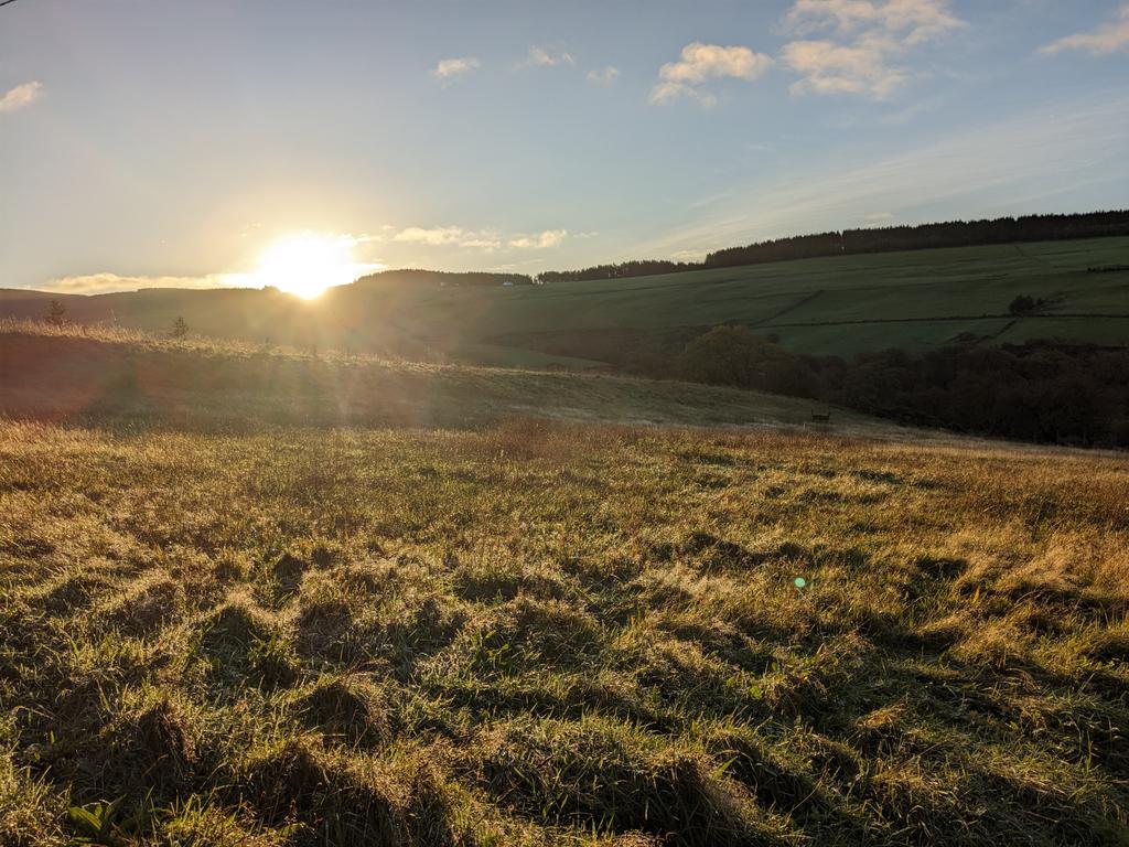 Bore da / Good morning. Autumn sunrise over the meadow 🌞🌞

#Ceredigion #CardiganBay