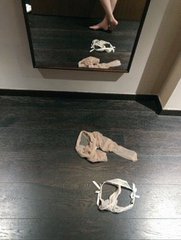 你过来摸摸我的衣服，看看是不是做你女朋友的料子