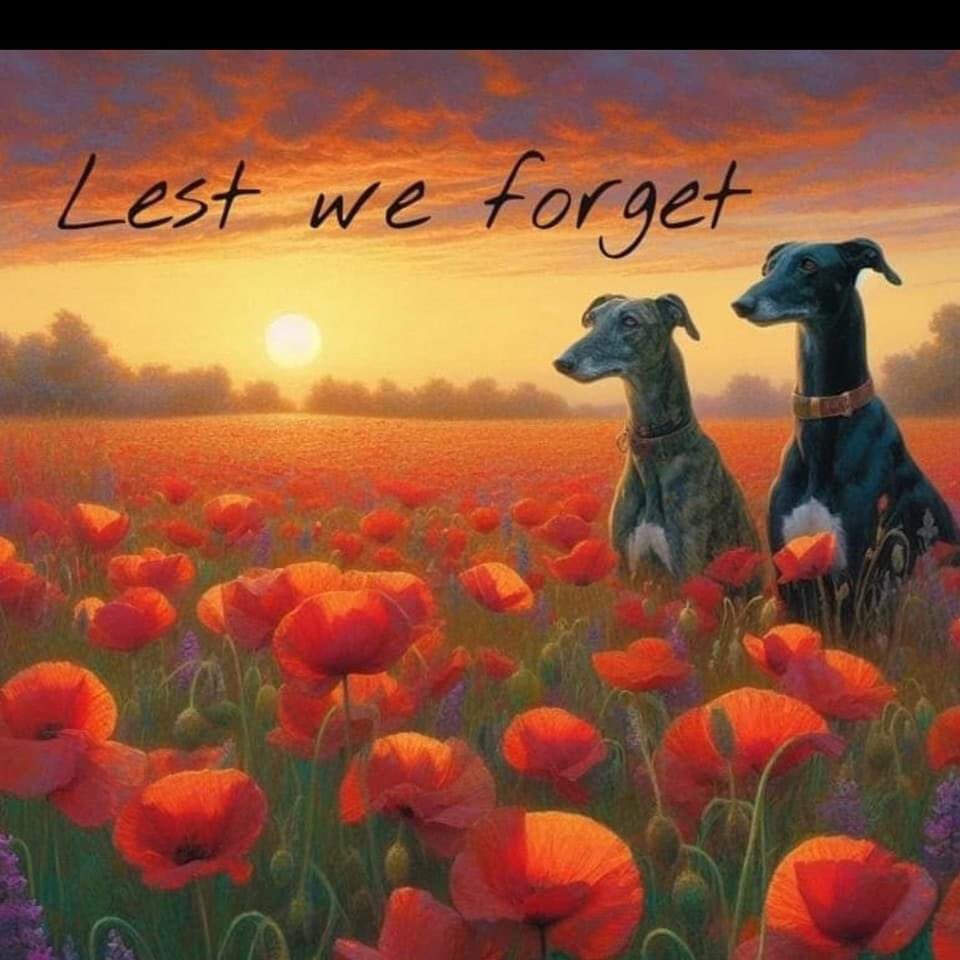 Lest we forget #RemembanceDay