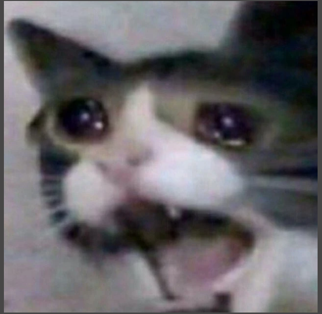 world_animals1's tweet photo. #CatsofTwittter #cat #catfunny #mew #meomeo #cry #catcry https://t.co/0C9Q2IxgRt