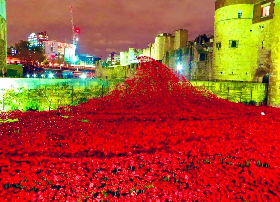 KatiePilbeamTV's tweet photo. Thinking of all those brave, selfless lives lost for our freedom, 'lest we forget' #ArmistaceDay https://t.co/KFR5DzmUXA