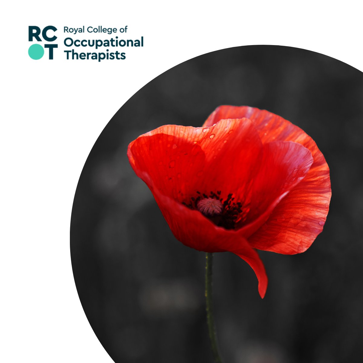“At the going down of the sun and in the morning,
We will remember them.”
– Laurence Binyan

We will never forget. We will always remember those who served, those who died, and those who came back but forever changed. 

#LestWeForget #RemembranceDay2023