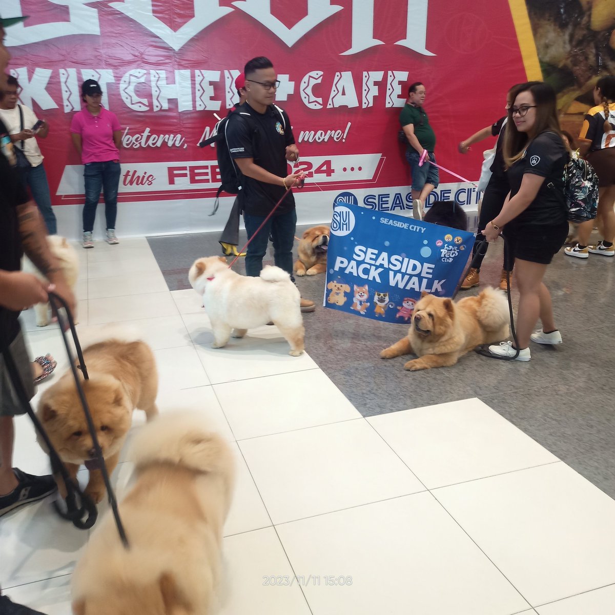 Joebert_Padata's tweet image. Many dogs are nicer than many humans. I❤️🐶

#packwalk