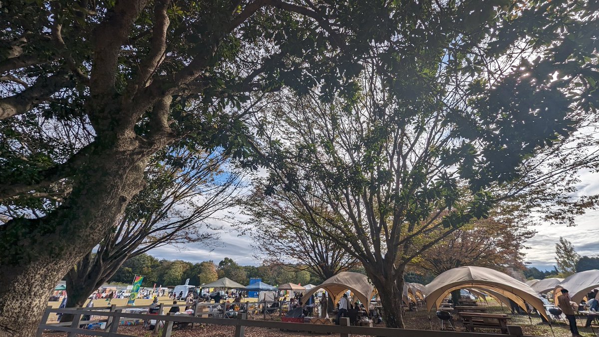 tami_frd's tweet image. バリスタと話しながら淹れてもらったカフェラテと、小麦の奴隷のパンがコラボでランチタイムです🥐
はるさんのCDも買えた✨
#AIDIA_COFFEE
#ときたまひみつきち #COMORIVER
#昭和レトロな温泉銭湯 #玉川温泉
#OutdoorPark2023