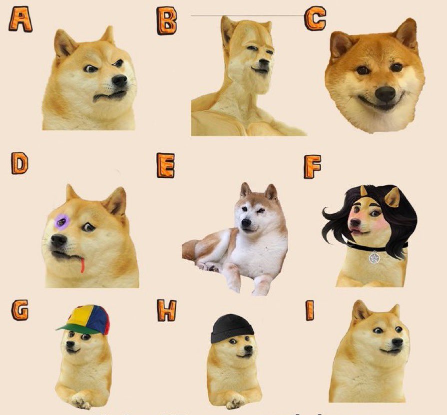 Choose your doge! #doge