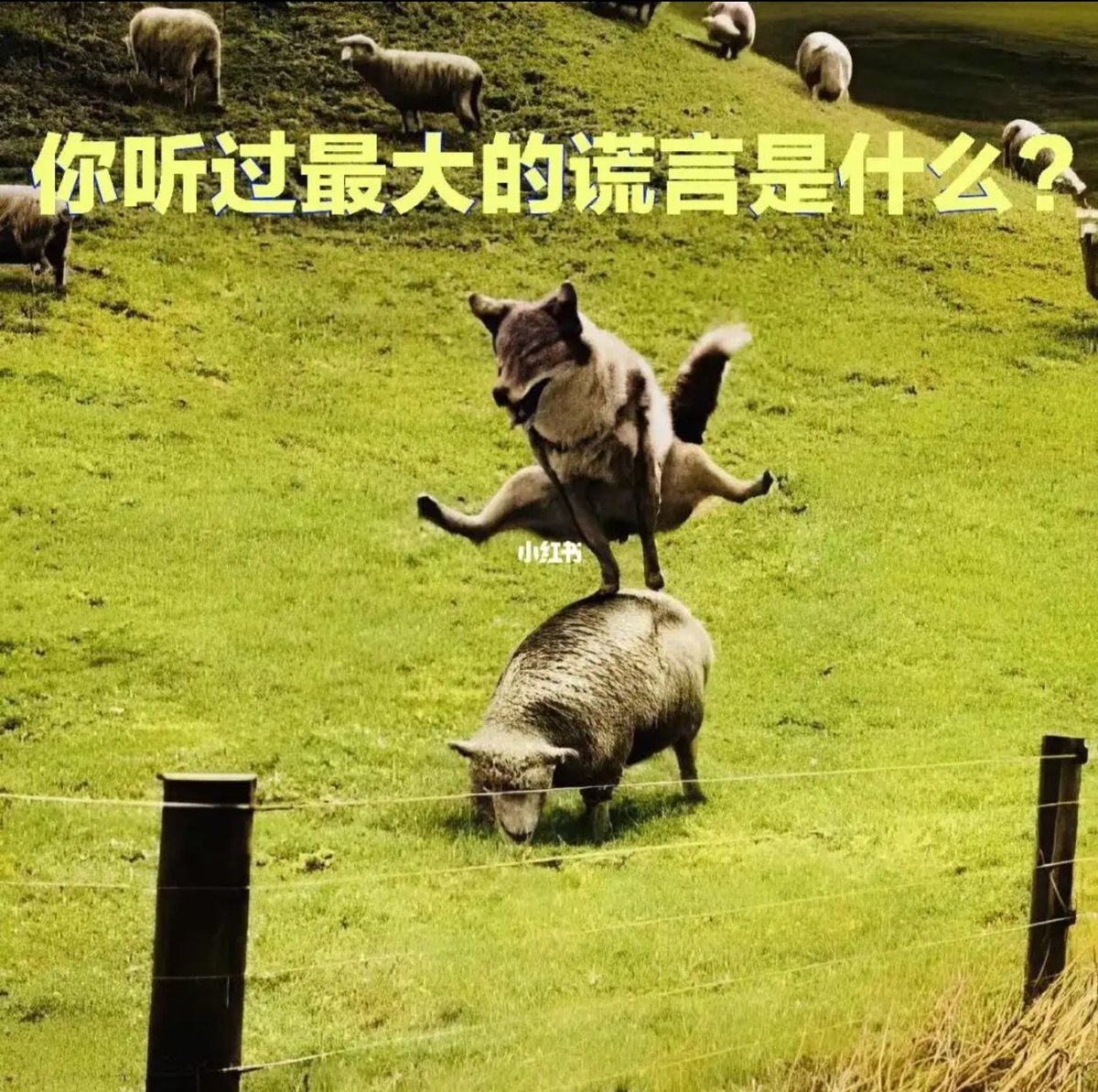 无极生太极 tweet media
