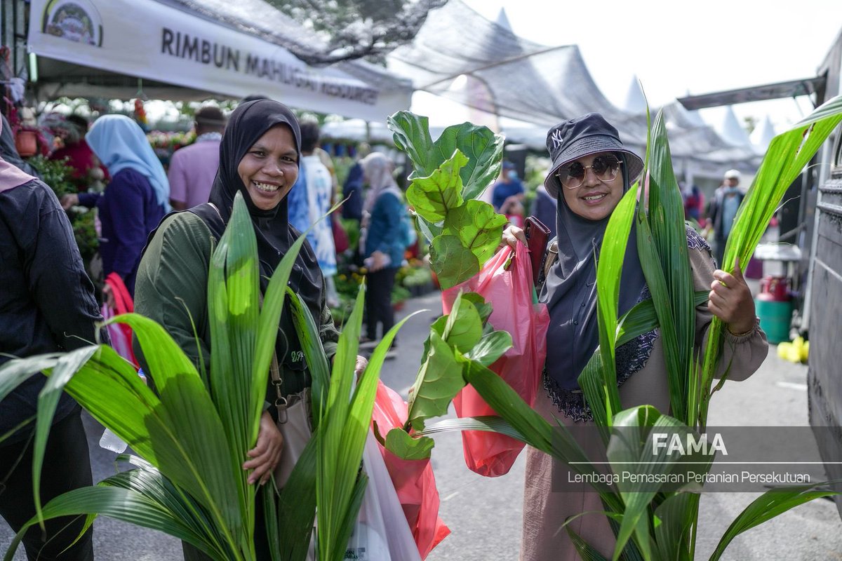 FAMA_Malaysia's tweet photo. HARI KEDUA #HPPNK2023

Sekitar Fokus Agro Madani Segmen Florikultur pada hari kedua dari Dataran Bulatan Sultan Azlan Shah, Meru, Ipoh, Perak. 

Terdapat 650 varieti orkid boleh didapati di sini. 

Ate Moh le Kiterr…

#KPKMMalaysia
#MalaysiaMadani
#TeamKPKM
#famadihatirakyat https://t.co/Xv8b6X9gMY