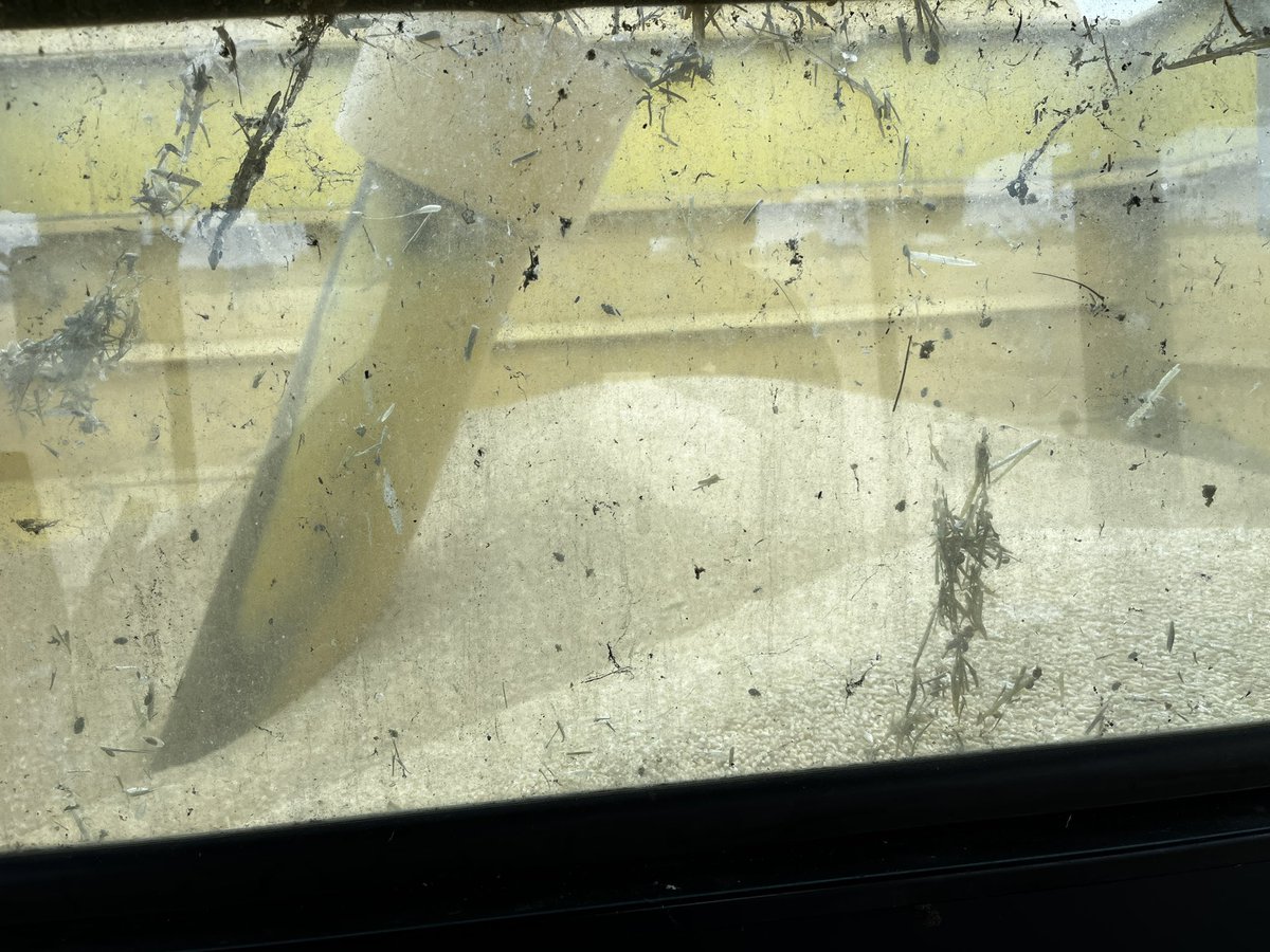 JoshDriver9's tweet photo. Opened up the wheat last week but same as canola, issues with moisture being just on the edge with 15% in the best areas. This hot weekend will make it ready by Monday! Dodged a fair few big storms and cut out the worst spots last week and still achieved APH2! More to come…🤞 https://t.co/9OMJmtwCR1