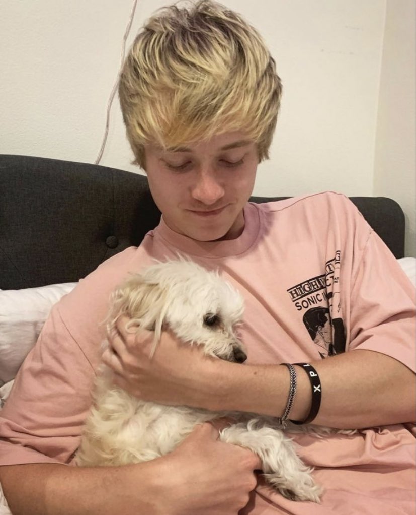 lex (soul & ni-kis vers.) on X: sam golbach cute pics: a thread ─── ・  ｡ﾟ☆: *.☽ .* :☆ﾟ. ─── t.cosU890rPTcL  X