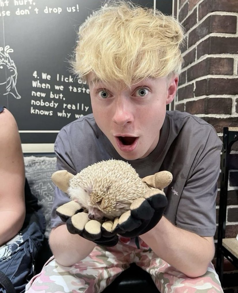 lex (soul & ni-kis vers.) on X: sam golbach cute pics: a thread ─── ・  ｡ﾟ☆: *.☽ .* :☆ﾟ. ─── t.cosU890rPTcL  X