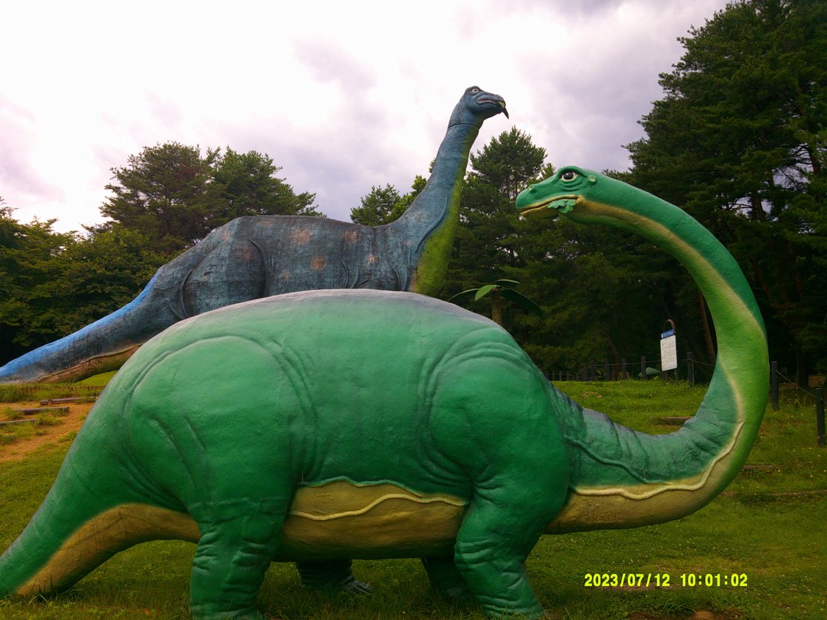 ncdinosaurpark's tweet image. 茶臼山動物園、恐竜園、マレットゴルフ場のホームページが新しくなりました。
入園料無料です。冬期間（12月20日～3月19日）の閉鎖前までに遊びに来てね。chausuyama.com/kyouryu.html
#茶臼山動物園40周年　#茶臼山恐竜園