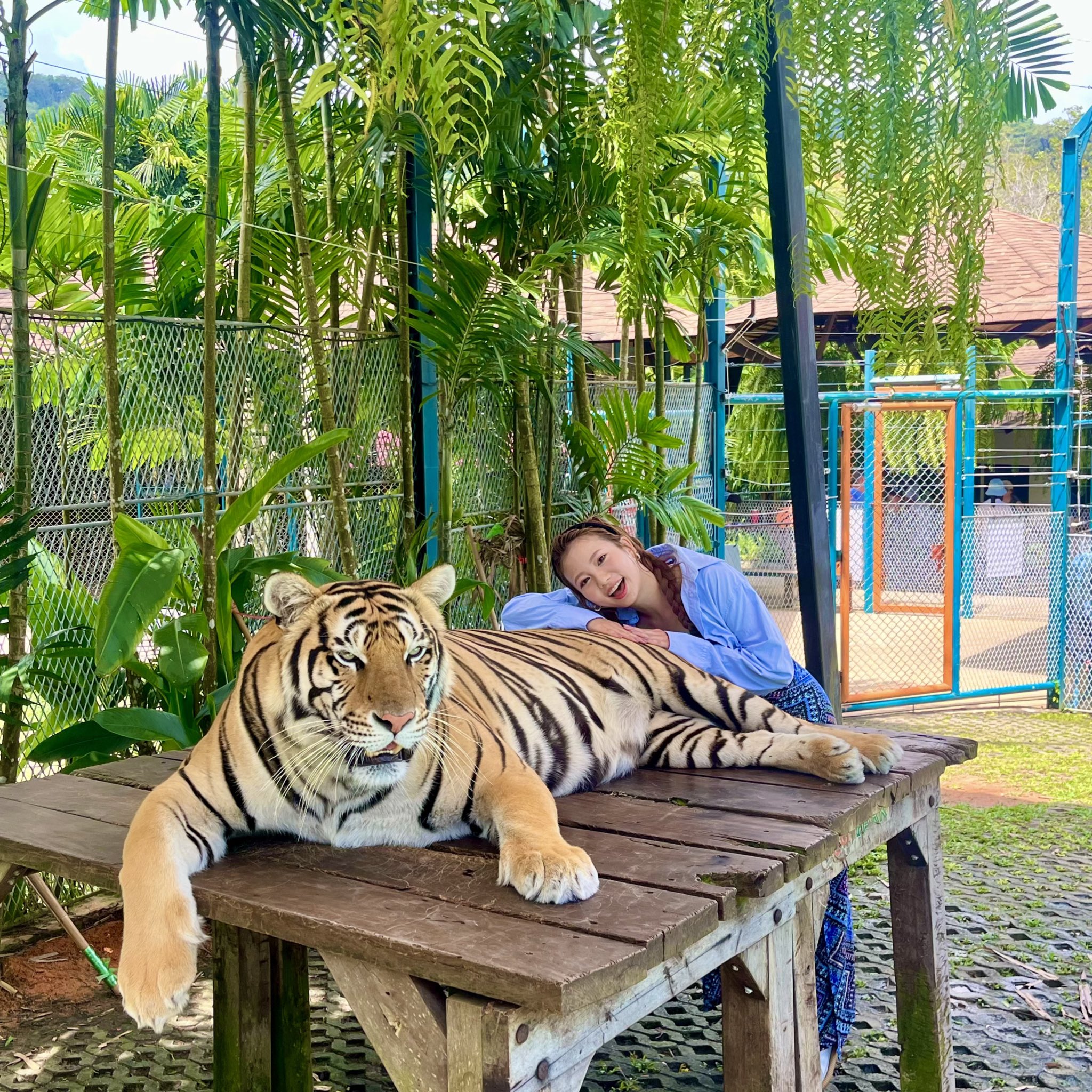 林祐衣 直筆サイン入り トレカ カード ジャンボリーミッキーお姉さん ディズニー】ジャンボリミッキー！レッツ・ダンス！☆ゆいお姉さん＃林