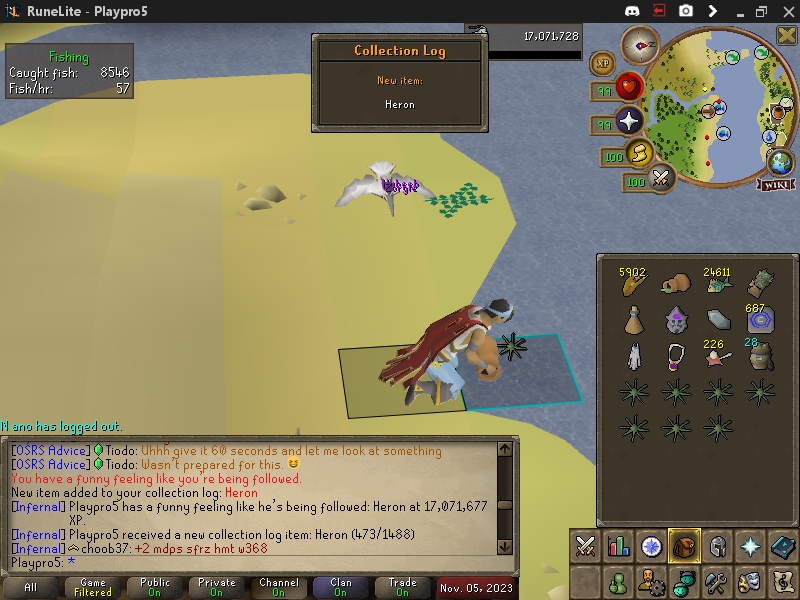 15/56 Great blue heron Pet✅ 17,017,677 Fishing XP