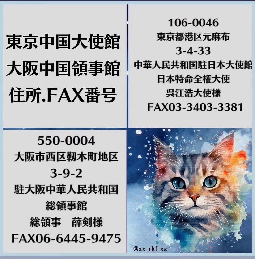 FGuardiansJapan's tweet photo. 11月10日大阪中国総領事館前での抗議活動実施しました
今回の抗議活動が国際社会から中国に対する大きな反発を引き起こすことを期待しています
大阪中国領事館と東京大使館に抗議文をファクスで送ってください
↓
https://t.co/I8YxX43E23
#猫依存症セラピスト
#中国猫虐待グループ
#Cloudflare https://t.co/roZC2B2CCD