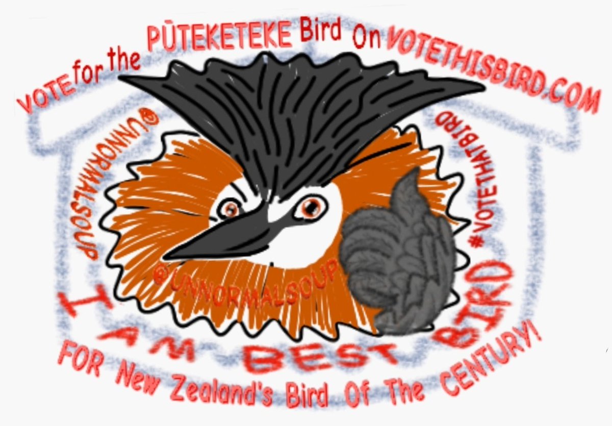 Vote for this bird for the New Zealand's Bord Of The Century, to Vote Just Go To VOTETHISBIRD.COM  <3 #johnolivoer #pūteketeke #votethisbird #newzealandsbirdofthecentury #birdofthecentury #youdomatter #unnormalsoup #pngtuber #streamer #havealovelyday