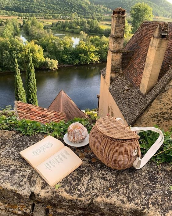 stella 🕊️ tweet media