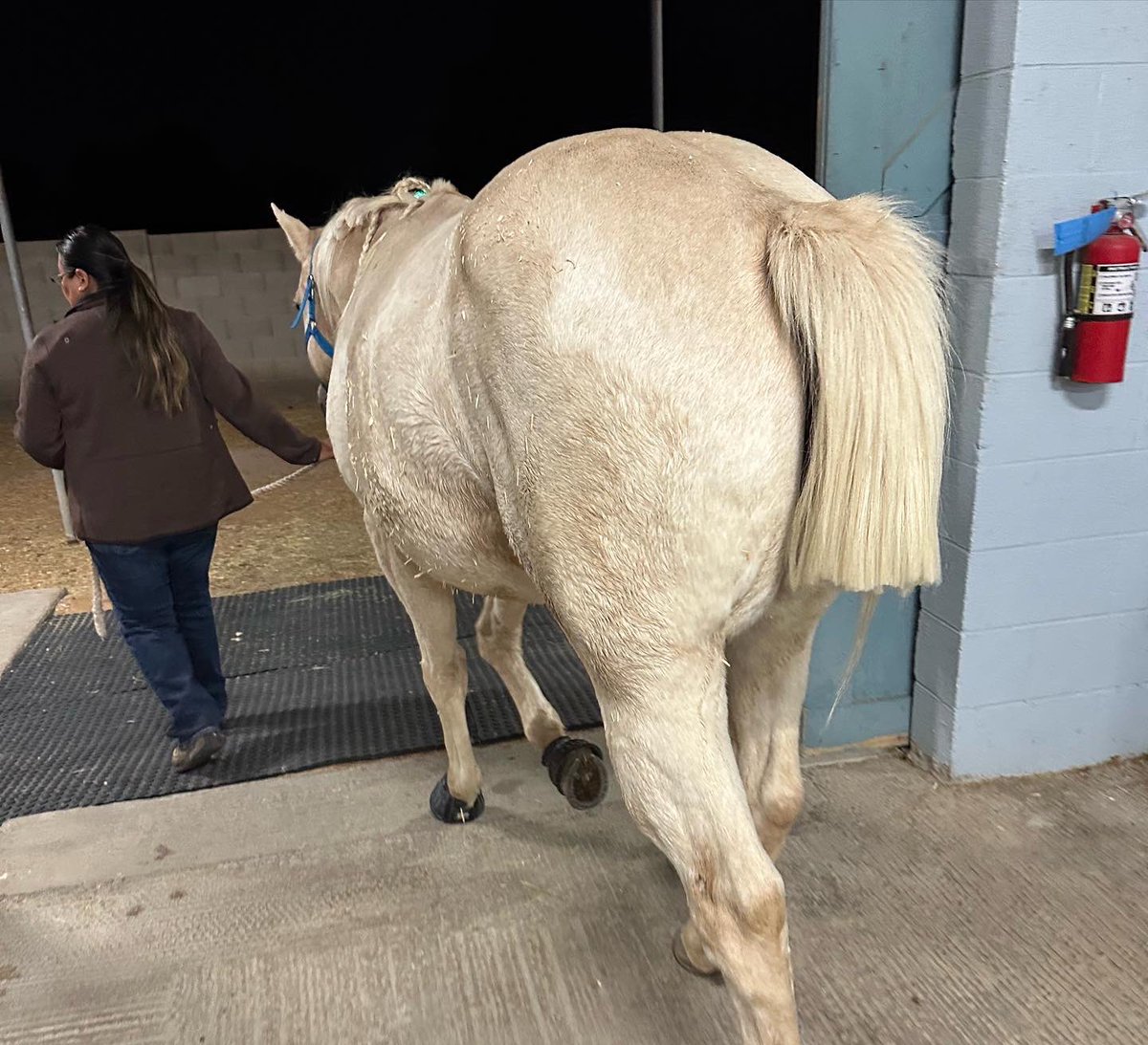 𝑨𝒎𝒊𝒂𝒉 tweet media