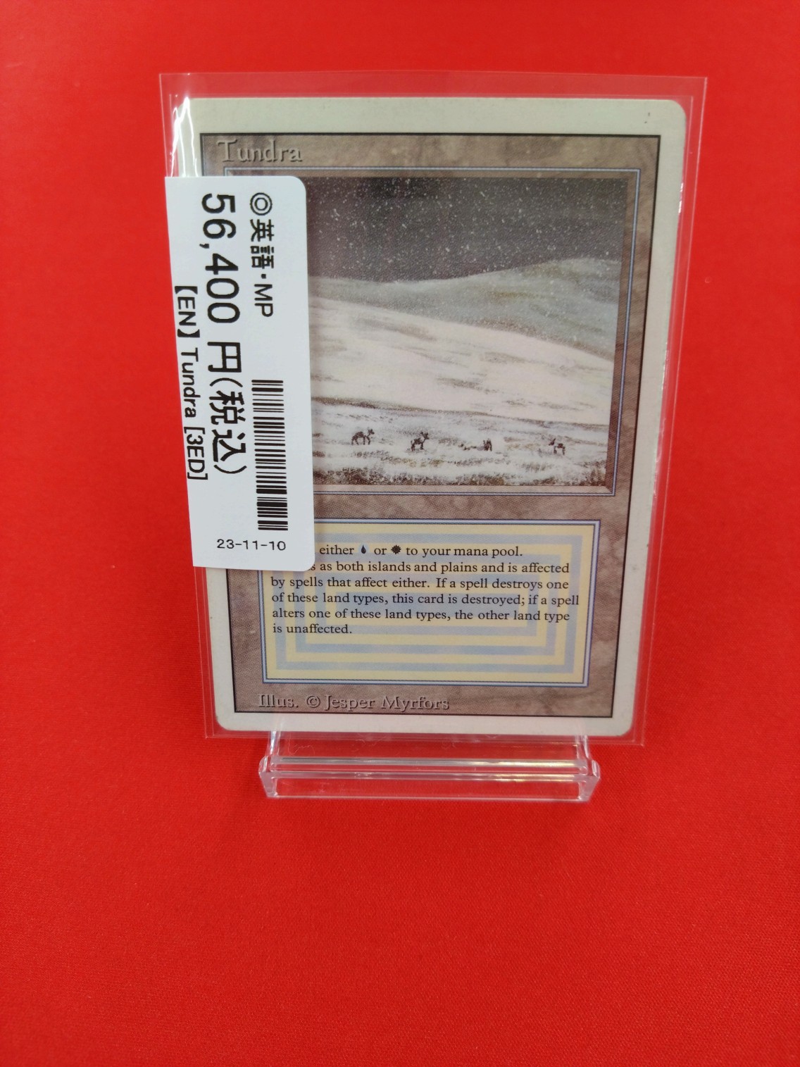 MTG Tundra英語(MP)-