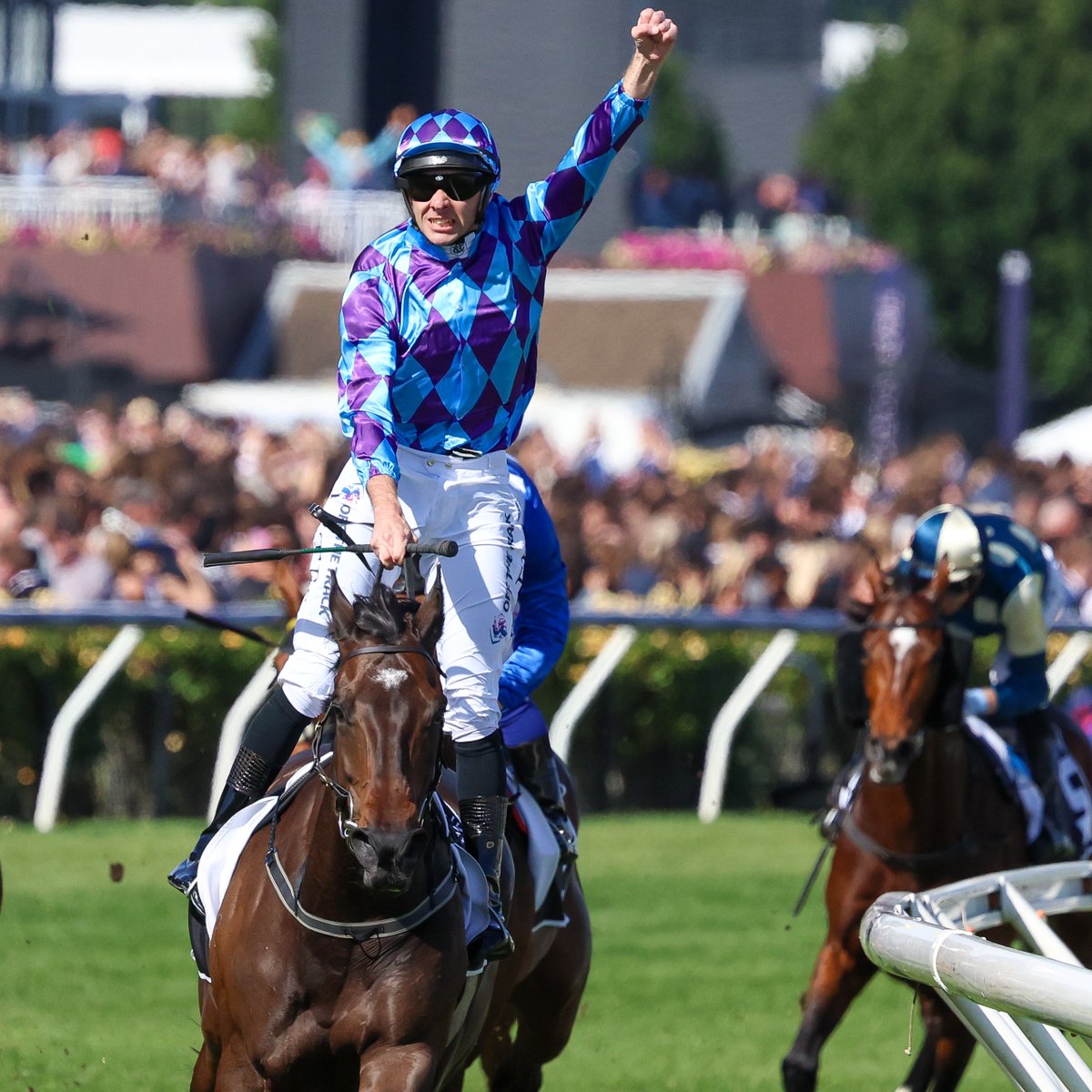 Bravo, Declan👏 Two brilliant rides for two Group 1s aboard Pride Of Jenni in Cup week✊ #Flemington | #StakesDay