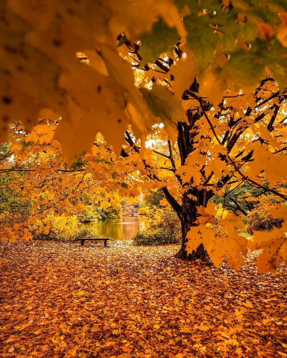 Arianna 🍀 tweet media