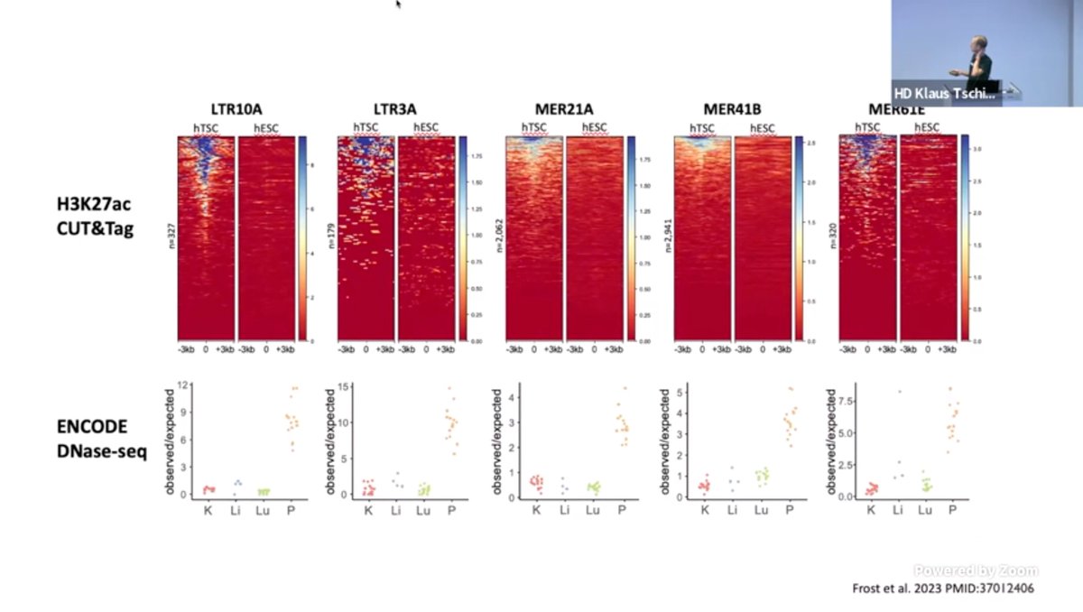 Manvendra Singh (Manu) - @manusingh.bsky.social (@manvendr7) on Twitter photo <a href="/BrancoLab/">Miguel Branco</a> Great presentation shows the fireworks of TE-regulated genes that are crucial for the development of the human placenta. Mostly from the work of @neverlethetruth published recently.
nature.com/articles/s4159…
#EMBOMobileGenome <a href="/BrancoLab/">Miguel Branco</a> Great presentation shows the fireworks of TE-regulated genes that are crucial for the development of the human placenta. Mostly from the work of @neverlethetruth published recently.
nature.com/articles/s4159…
#EMBOMobileGenome