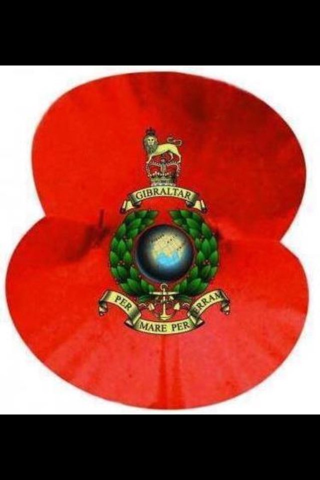 "They shall grow not old, as we that are left grow old,

Age shall not weary them, nor the years condemn.

At the going down of the sun, and in the morning,

We will remember them."